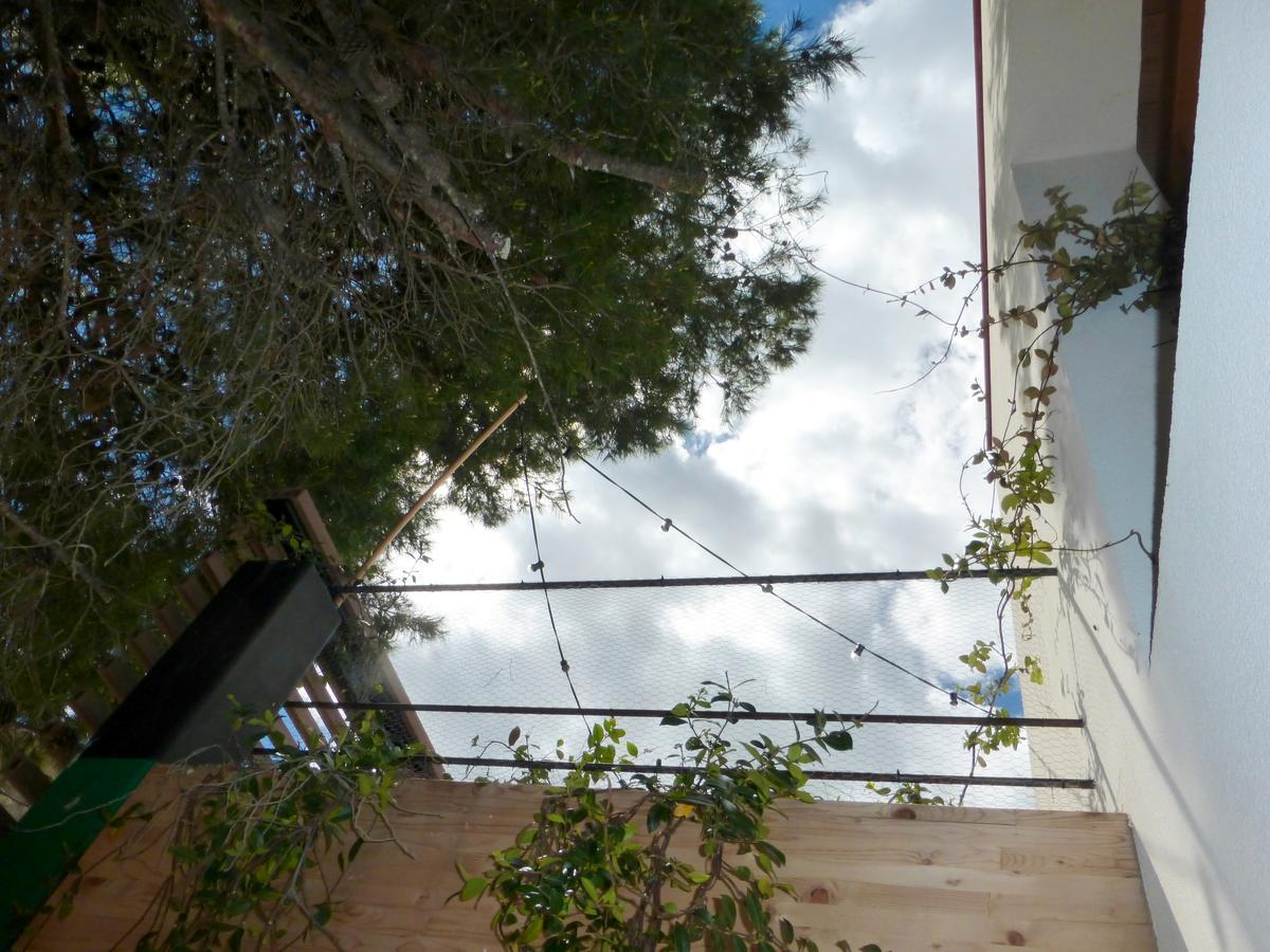 Casa Del Castell Hotel Mora d'Ebre Ngoại thất bức ảnh